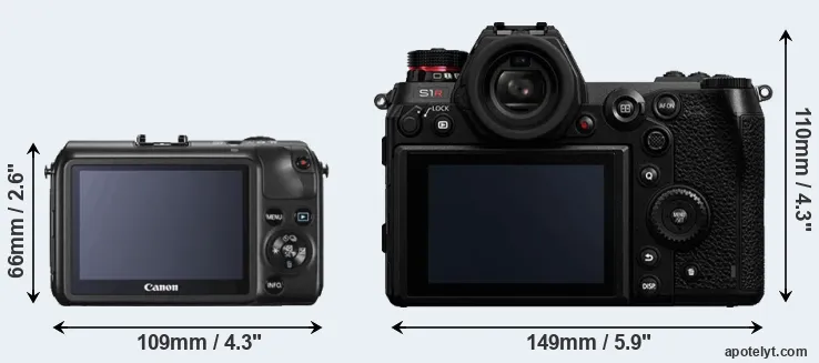 Comparison Canon M or S1R rear
