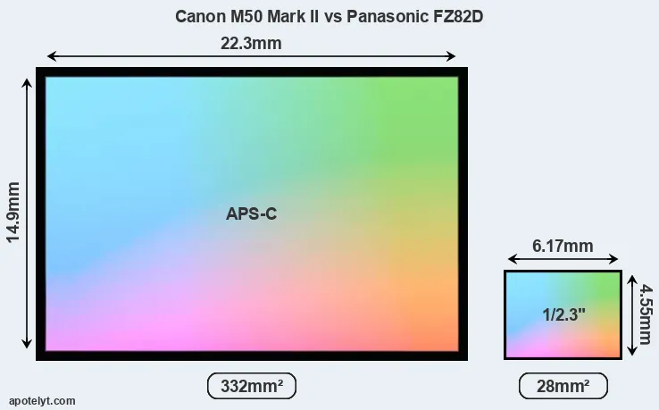 Canon M50 Mark II and Panasonic FZ82D sensor measures
