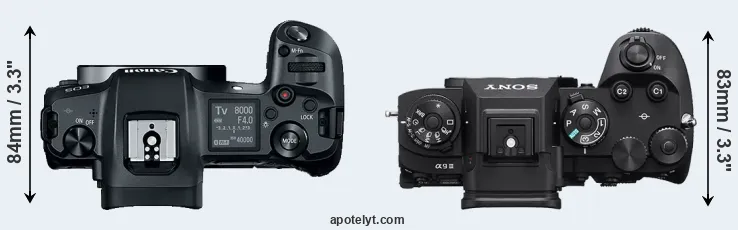 Compare Canon R versus A9 III top