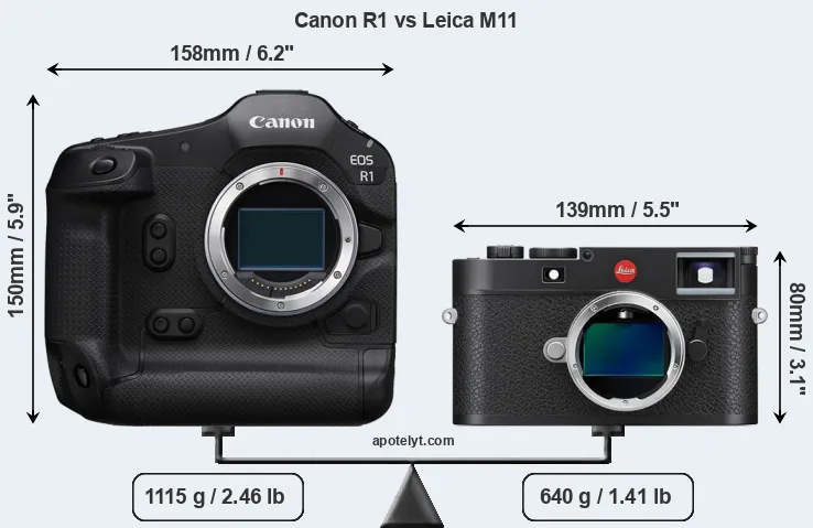 Size Canon R1 vs Leica M11