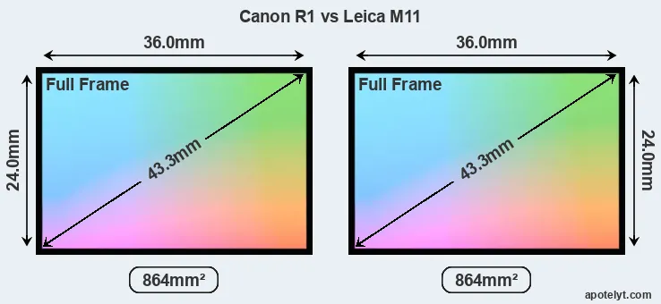 Canon R1 and Leica M11 sensor measures