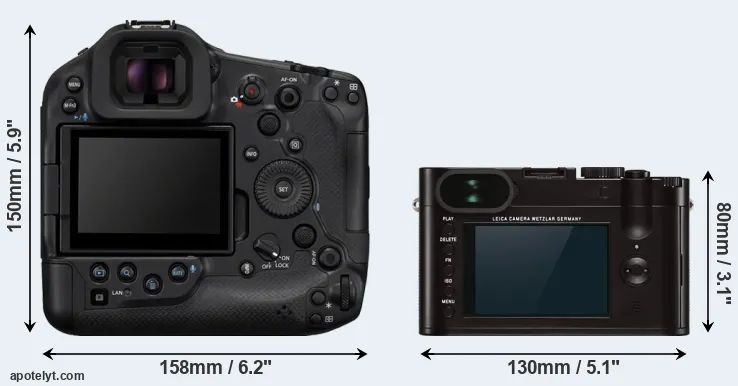 Comparison R1 or Q Typ 116 rear