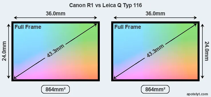 Canon R1 and Leica Q Typ 116 sensor measures
