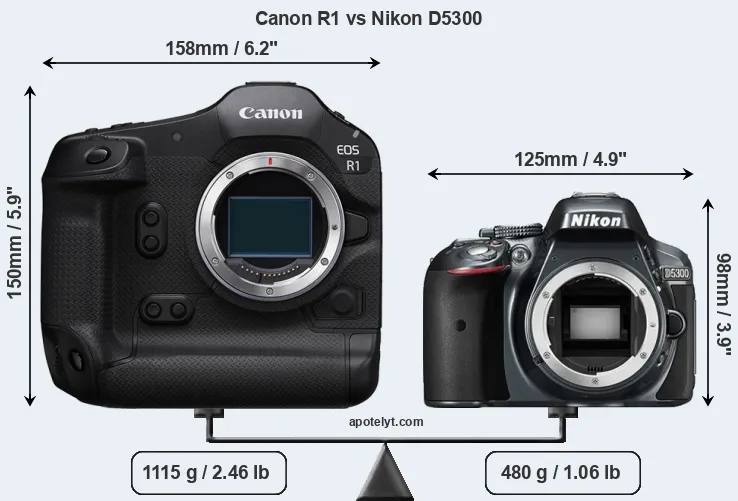 Size Canon R1 vs Nikon D5300