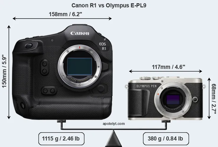 Size Canon R1 vs Olympus E-PL9