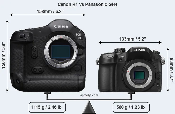 Size Canon R1 vs Panasonic GH4