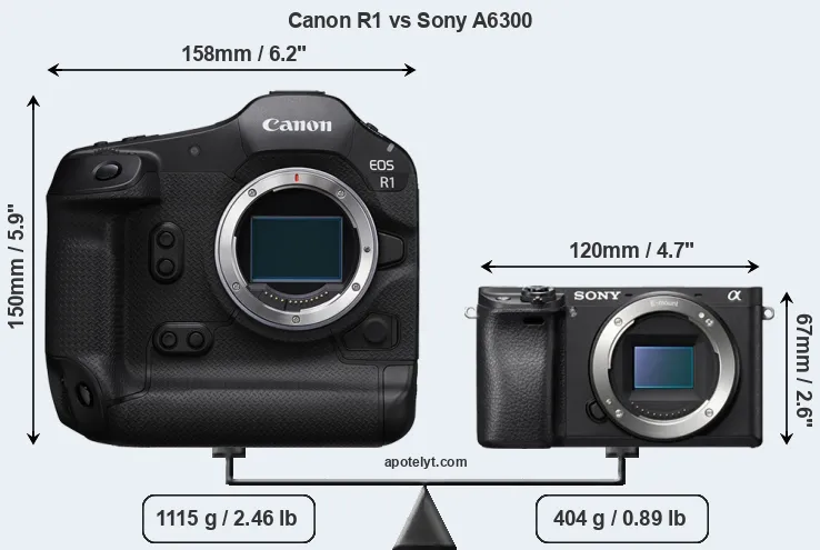 Size Canon R1 vs Sony A6300