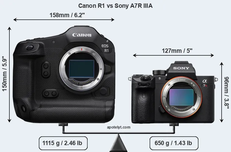 Size Canon R1 vs Sony A7R IIIA