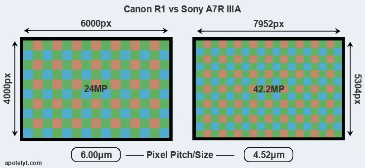 R1 versus A7R IIIA MP