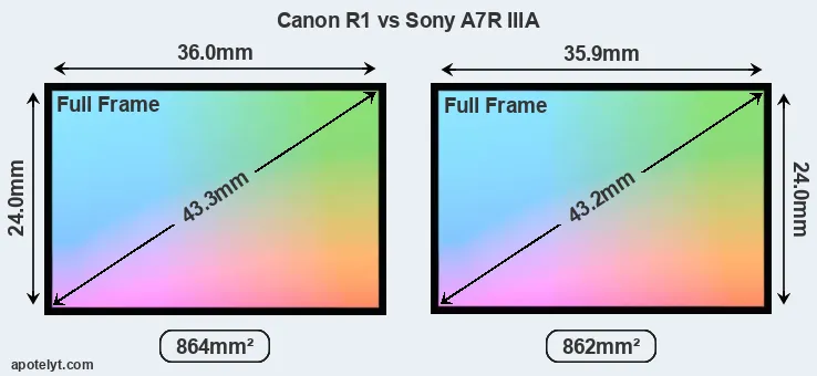 Canon R1 and Sony A7R IIIA sensor measures