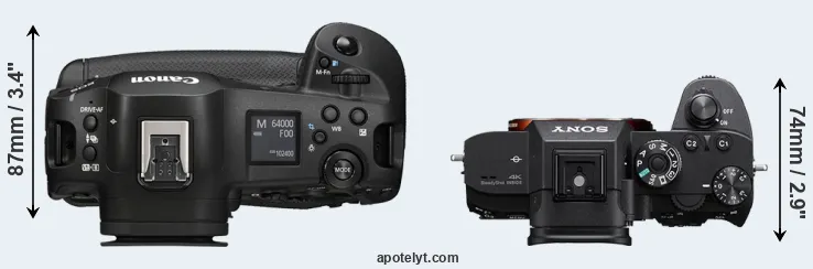Compare R1 versus A7R IIIA top
