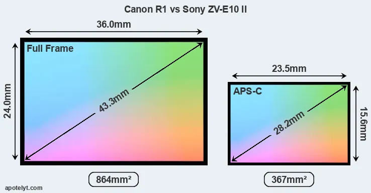 Canon R1 and Sony ZV-E10 II sensor measures
