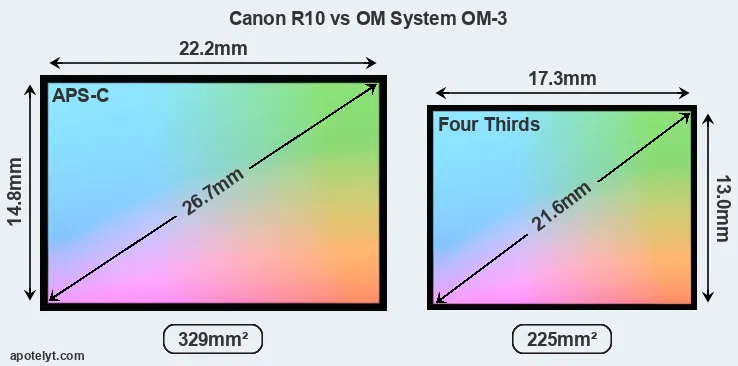 Canon R10 and OM System OM-3 sensor measures