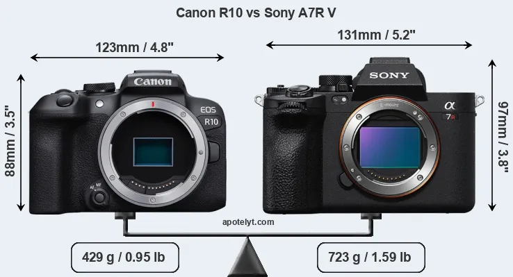 Size Canon R10 vs Sony A7R V