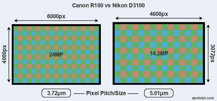 R100 versus D3100 MP
