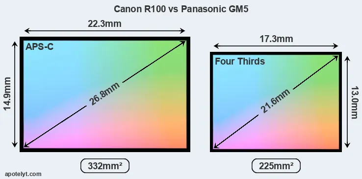 Canon R100 and Panasonic GM5 sensor measures