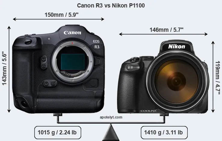 Size Canon R3 vs Nikon P1100
