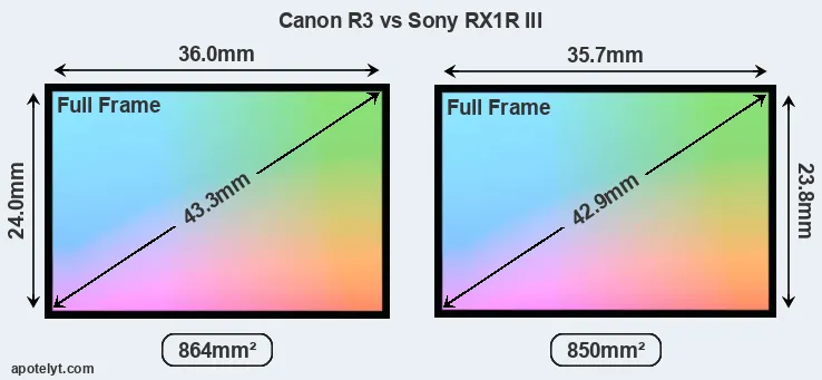 Canon R3 and Sony RX1R III sensor measures