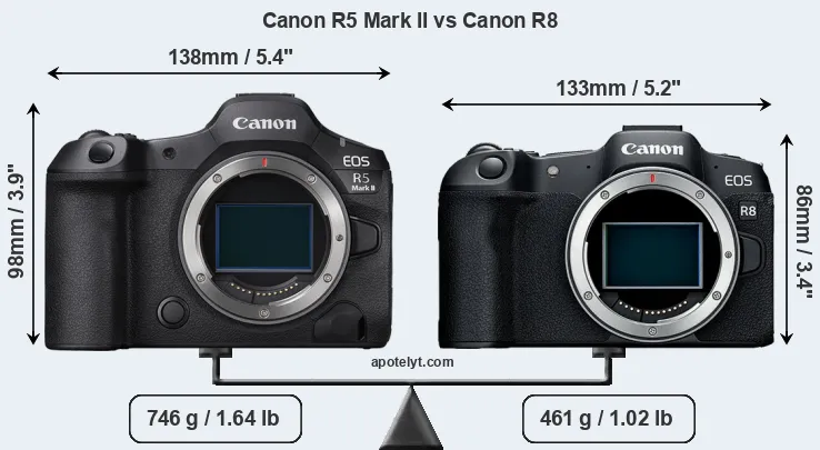 Size Canon R5 Mark II vs Canon R8