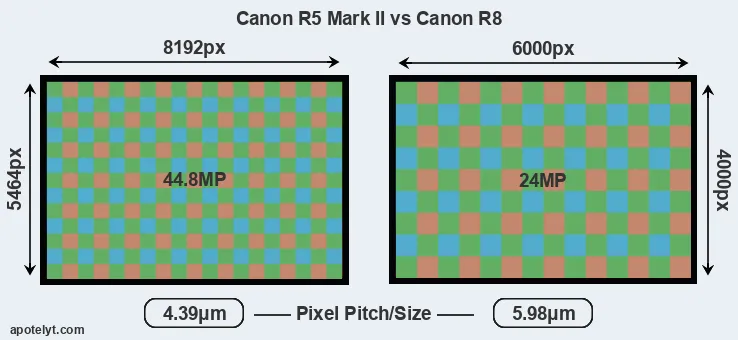R5 Mark II versus R8 MP