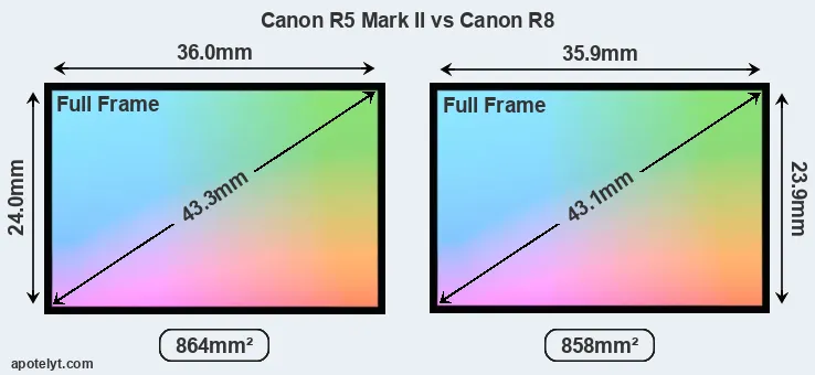 Canon R5 Mark II and Canon R8 sensor measures