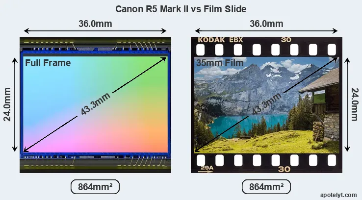 Canon R5 Mark II sensor measures