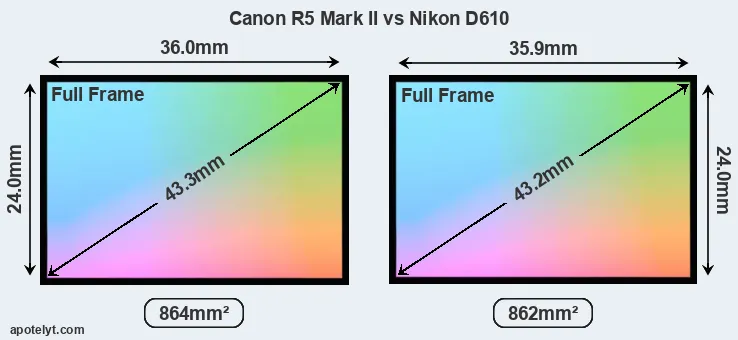 Canon R5 Mark II and Nikon D610 sensor measures
