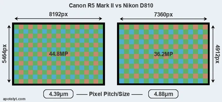 R5 Mark II versus D810 MP