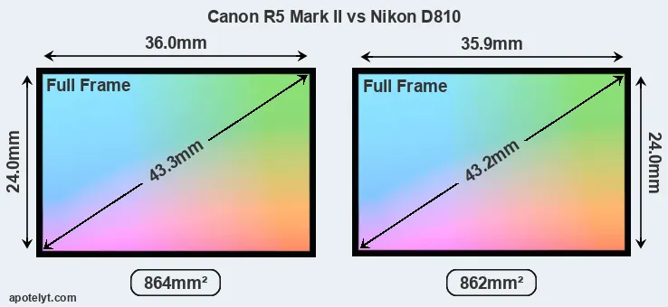 Canon R5 Mark II and Nikon D810 sensor measures