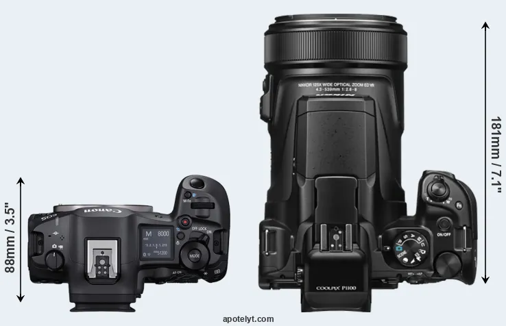 Compare R5 Mark II versus P1100 top