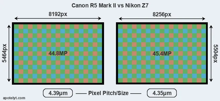 R5 Mark II versus Z7 MP