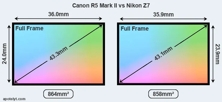 Canon R5 Mark II and Nikon Z7 sensor measures