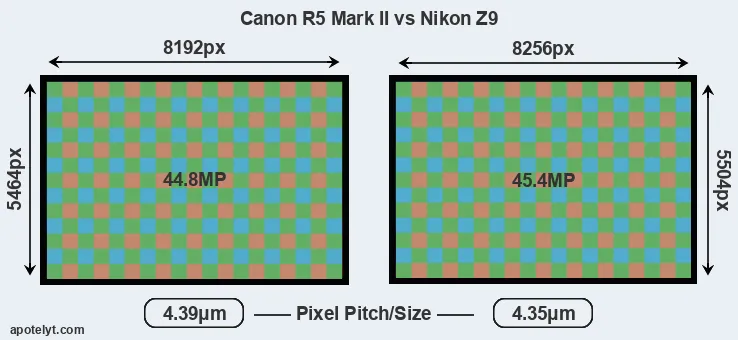 R5 Mark II versus Z9 MP