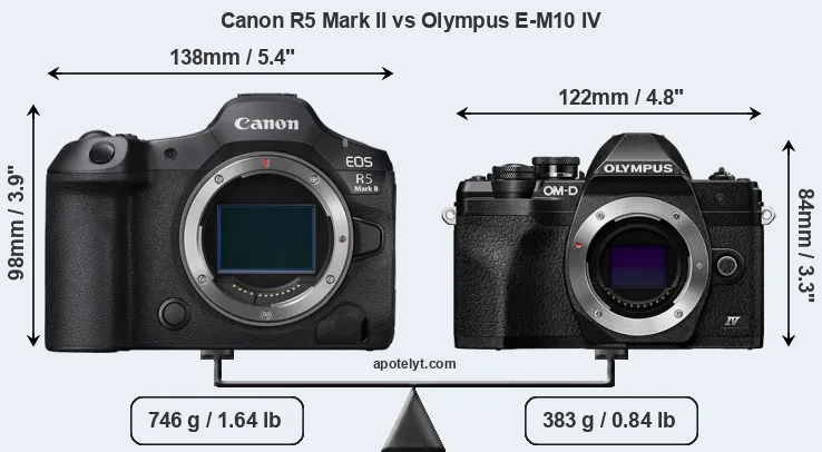 Size Canon R5 Mark II vs Olympus E-M10 IV