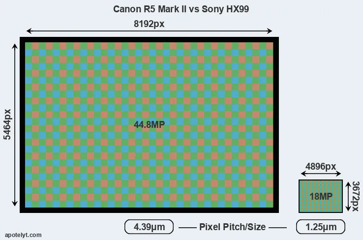 R5 Mark II versus HX99 MP