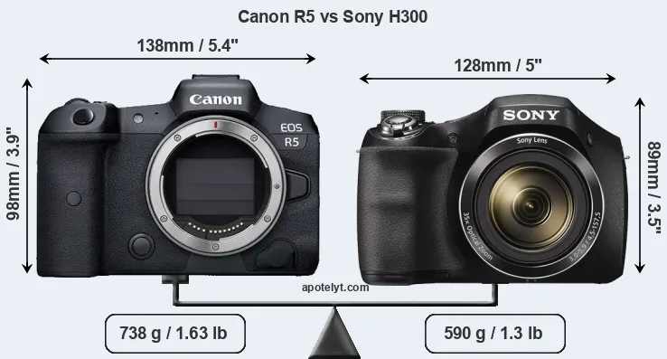 Size Canon R5 vs Sony H300