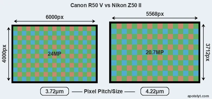 R50 V versus Z50 II MP