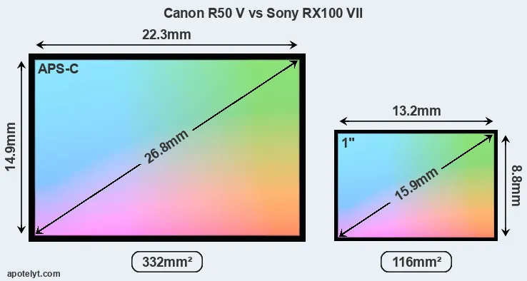 Canon R50 V and Sony RX100 VII sensor measures