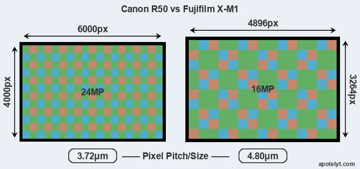 R50 versus X-M1 MP