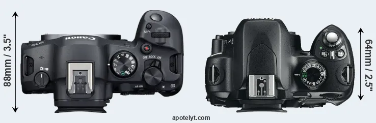 Compare R6 Mark II versus D60 top