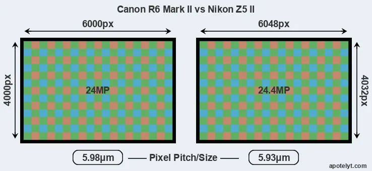 R6 Mark II versus Z5 II MP
