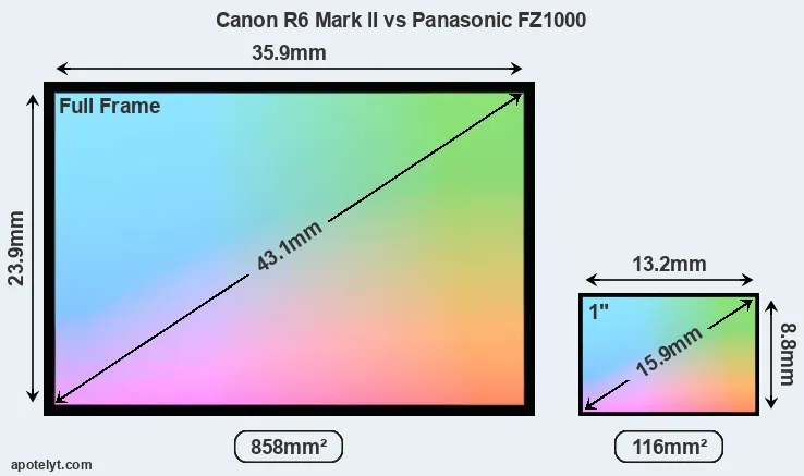 Canon R6 Mark II and Panasonic FZ1000 sensor measures