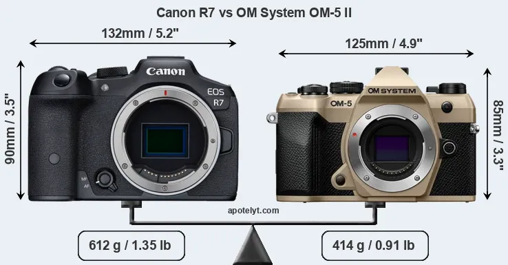Size Canon R7 vs OM System OM-5 II
