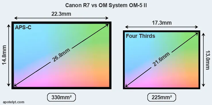 Canon R7 and OM System OM-5 II sensor measures