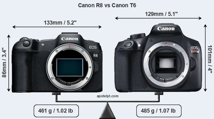 Size Canon R8 vs Canon T6