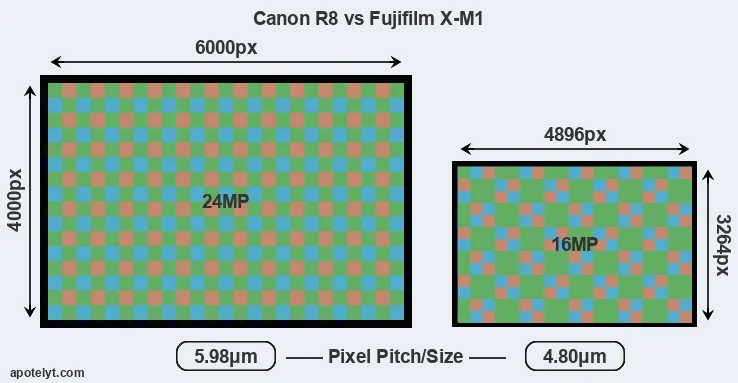 R8 versus X-M1 MP