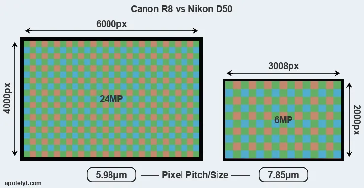 R8 versus D50 MP