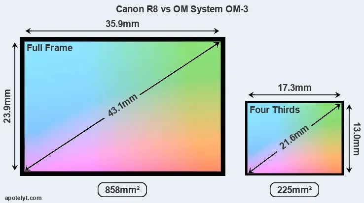 Canon R8 and OM System OM-3 sensor measures