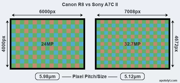 Sony A7C Mark II vs Canon R8 Detailed Comparison