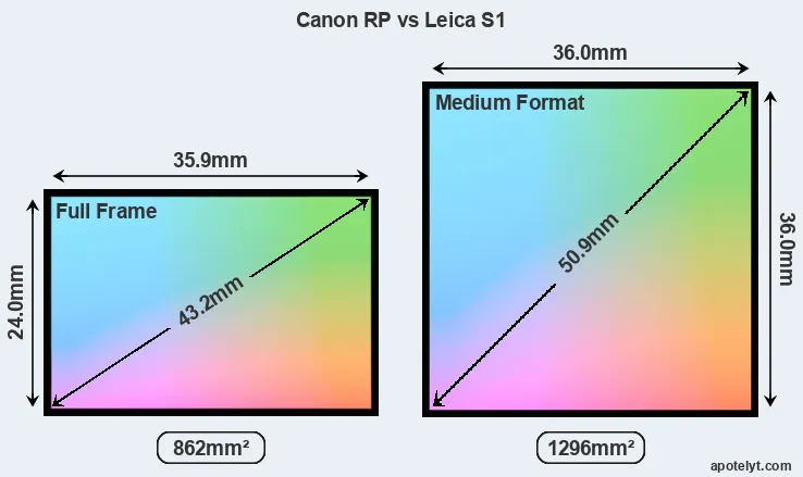 Canon RP and Leica S1 sensor measures